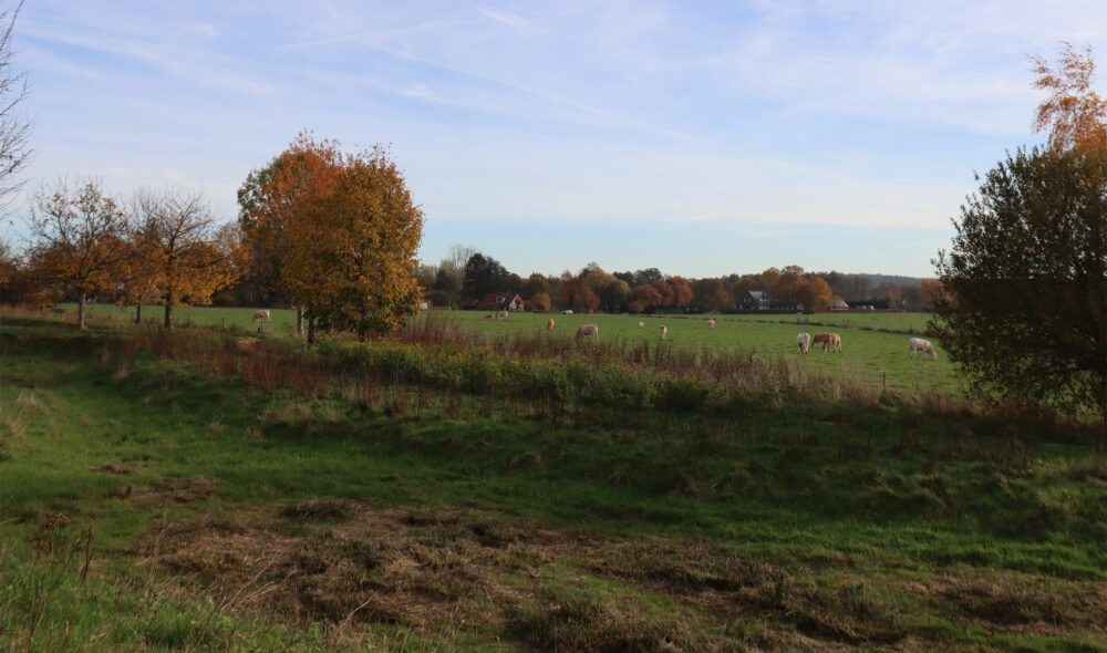 Woning op Dakotastraat 6 in Groesbeek, 6562 HG van HV Makelaardij